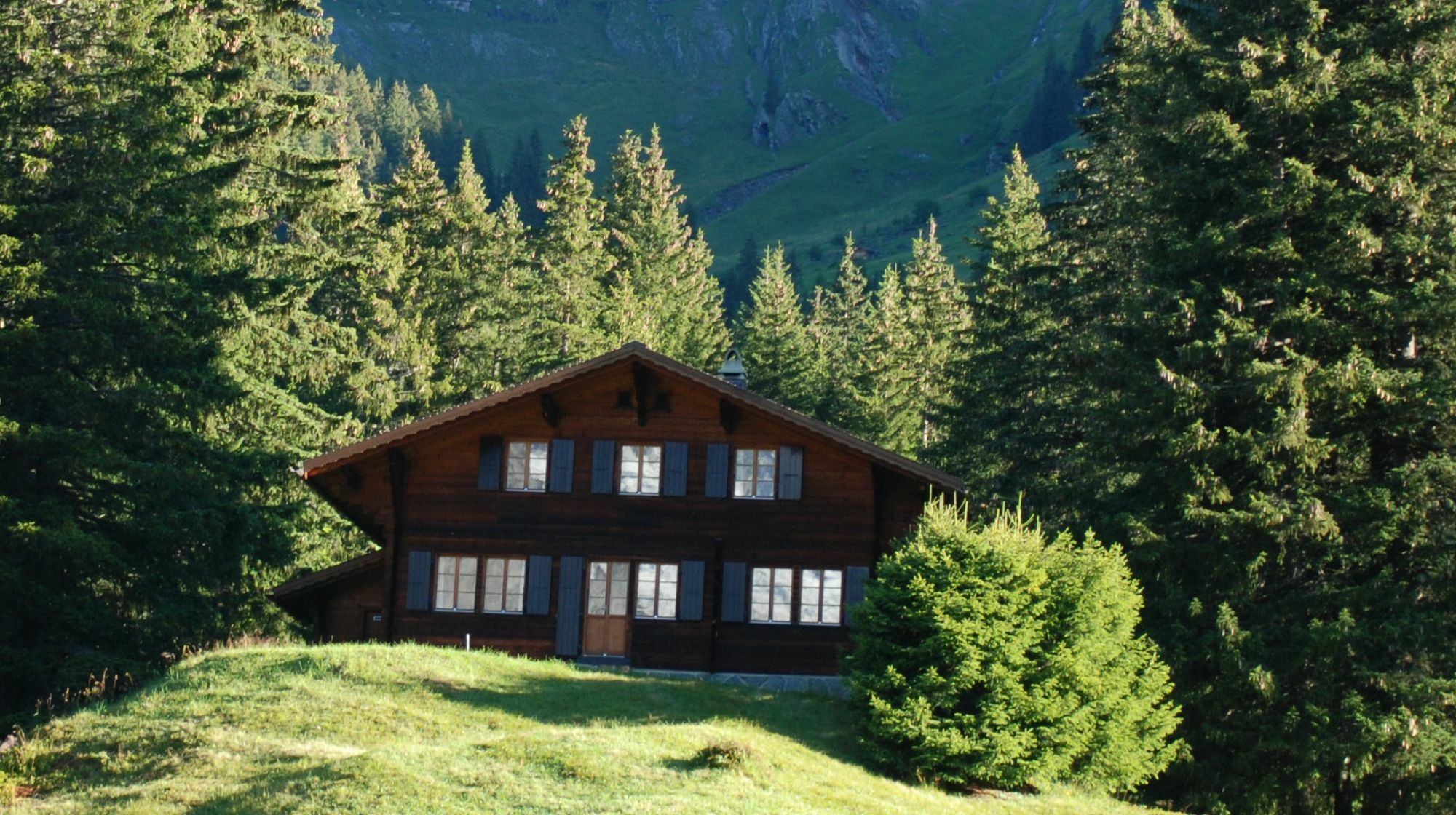 Chalet Lecocq - Griwa Rent Ag กรินเดลวัลด์ ภายนอก รูปภาพ