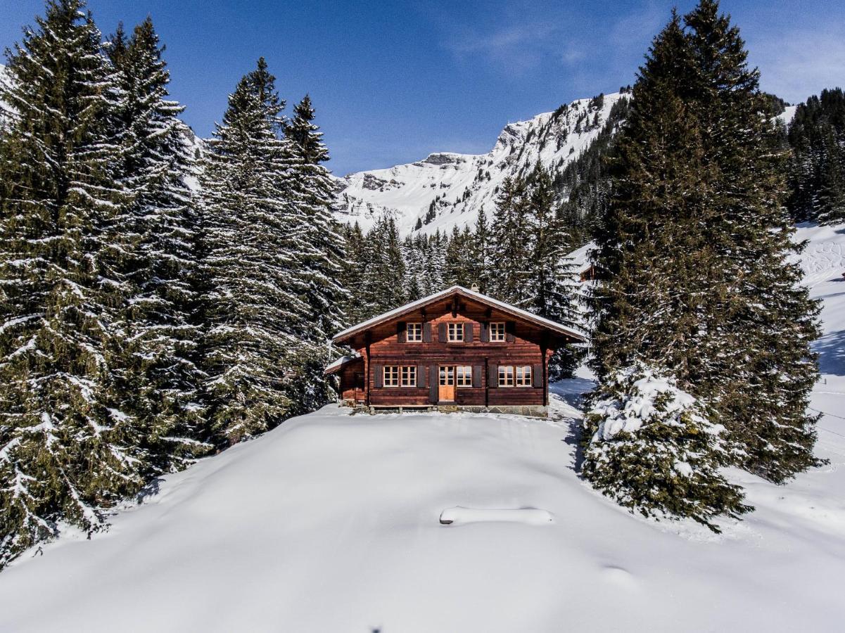 Chalet Lecocq - Griwa Rent Ag กรินเดลวัลด์ ภายนอก รูปภาพ
