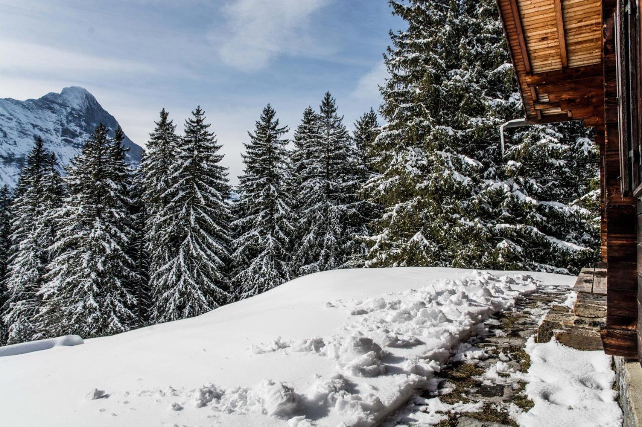 Chalet Lecocq - Griwa Rent Ag กรินเดลวัลด์ ภายนอก รูปภาพ