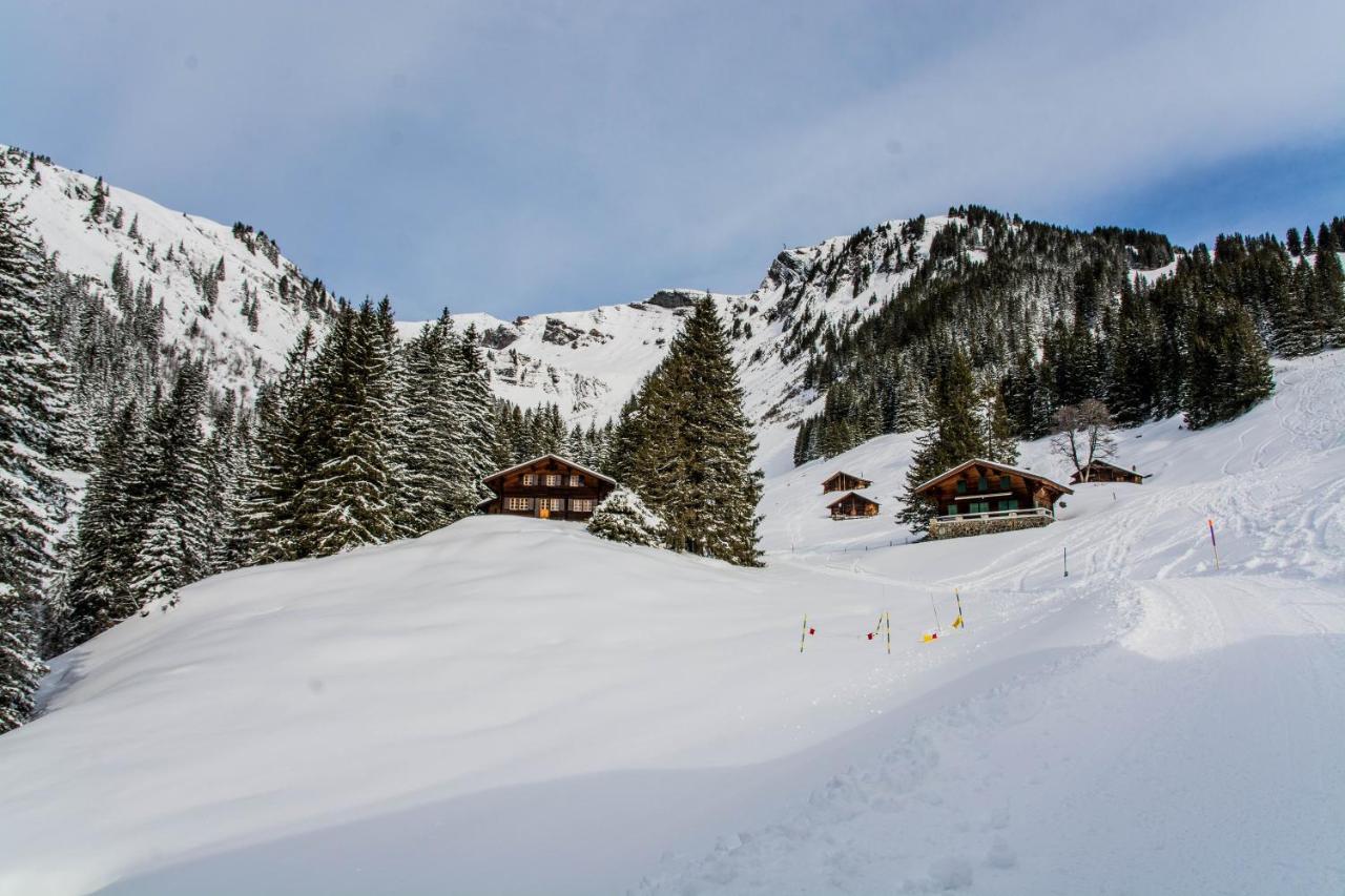 Chalet Lecocq - Griwa Rent Ag กรินเดลวัลด์ ภายนอก รูปภาพ